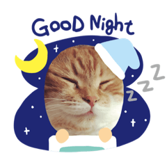 [LINEスタンプ] ダラダラ猫ちゃん！