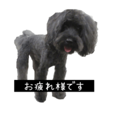 [LINEスタンプ] シュプココ 2