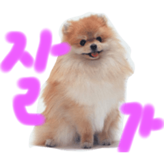 [LINEスタンプ] 한국어스탐트
