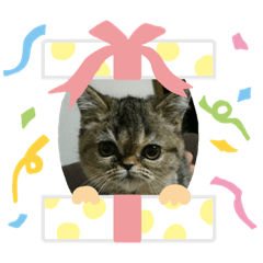 [LINEスタンプ] 可愛いイッヌ〜＆ネッコ〜