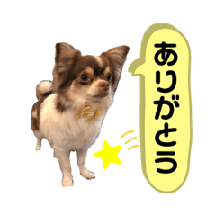 [LINEスタンプ] ちちたん王子2
