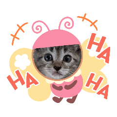 [LINEスタンプ] 猫ほんわかスタンプ