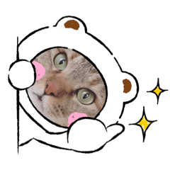 [LINEスタンプ] MYベストフレンド