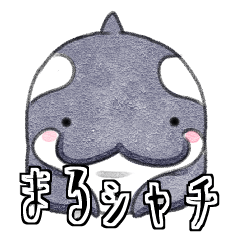 [LINEスタンプ] まるシャチ