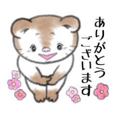 [LINEスタンプ] ねこくまのたぬちゃん