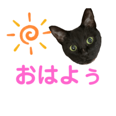 [LINEスタンプ] ちっちの日常(夏)