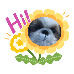[LINEスタンプ] 可愛いワン？    3