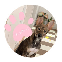 [LINEスタンプ] にちじょーひなた