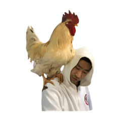 [LINEスタンプ] 高槻の妖精てんぐ