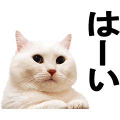[LINEスタンプ] むっちりいなり