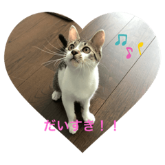 [LINEスタンプ] monta♡4ヶ月