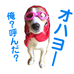 [LINEスタンプ] レオパン1