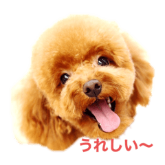 [LINEスタンプ] マリーズスタンプ