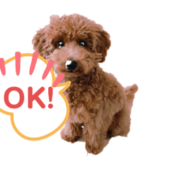 [LINEスタンプ] ★モコのスタンプ★