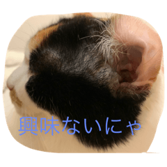 [LINEスタンプ] まるのスタンプにゃん2