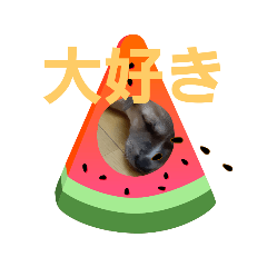[LINEスタンプ] チョコ参上