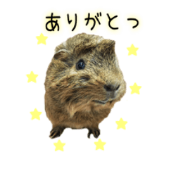 [LINEスタンプ] たわし様1