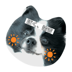 [LINEスタンプ] ぼく、諭吉。