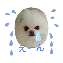 [LINEスタンプ] cocoa❤スタンプ❤