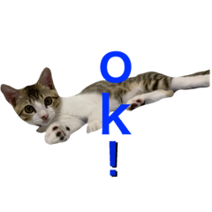[LINEスタンプ] とびだせルイくん❗️