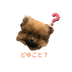 [LINEスタンプ] つぶやきココちゃん