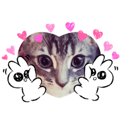 [LINEスタンプ] おぎんちゃんの癒されスタンプ