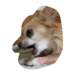 [LINEスタンプ] そらうみ。