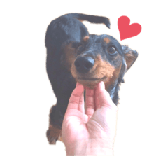 [LINEスタンプ] まっくんあんどまっくん