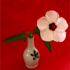 [LINEスタンプ] 路傍の花と陶器
