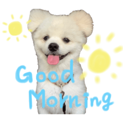 [LINEスタンプ] ぽん太スタンプ2