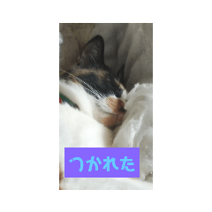 [LINEスタンプ] ミンタン