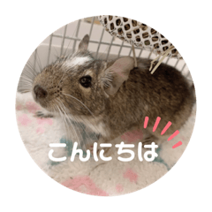 [LINEスタンプ] デグーのいる生活