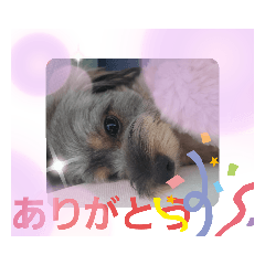 [LINEスタンプ] モカレオ.2