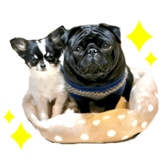 [LINEスタンプ] 石田家のワンコ
