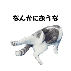 [LINEスタンプ] しもむら家の愉快な仲間たち