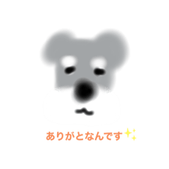 [LINEスタンプ] 三度の飯よりシュナが好き！