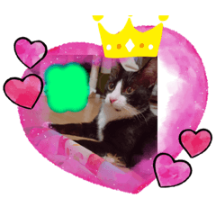 [LINEスタンプ] pan0812