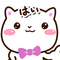 [LINEスタンプ] シロネコすたんぷ【どアップ編】