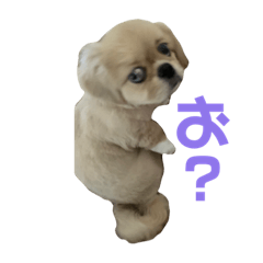 [LINEスタンプ] えるのすたんぷ②