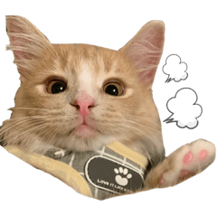 [LINEスタンプ] chipie3