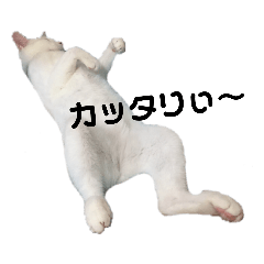 [LINEスタンプ] Catseyes77