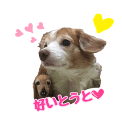 [LINEスタンプ] らぶてつ。