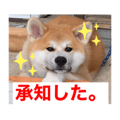 [LINEスタンプ] 緑三郎636