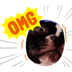 [LINEスタンプ] フレンチブルふじこさん