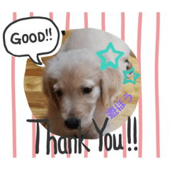 [LINEスタンプ] 愉快な怜央9