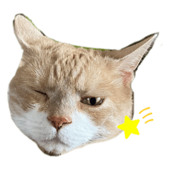 [LINEスタンプ] ふくすたんぷ2