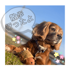 [LINEスタンプ] おうぴちゃん②