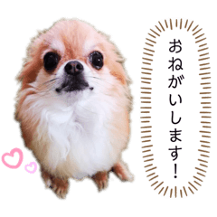 [LINEスタンプ] しずくの基本スタイル