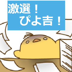 [LINEスタンプ] 激選！ぴよ吉！ひとまとめ。