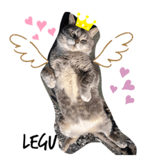 [LINEスタンプ] ちょっとおバカな小川家のレグちゃん②